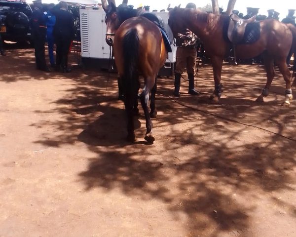 Police Passout