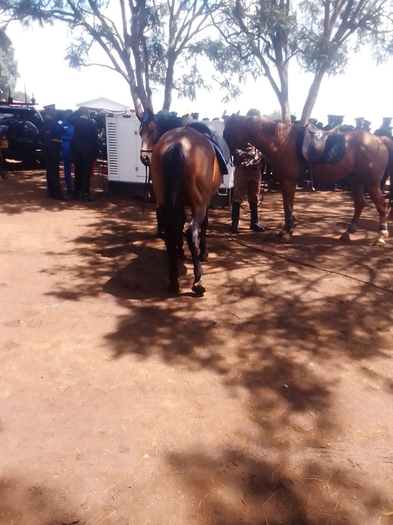Police Passout